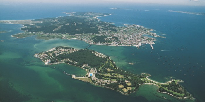 Resultado de imagen de ISLA DE LA TOJA grove